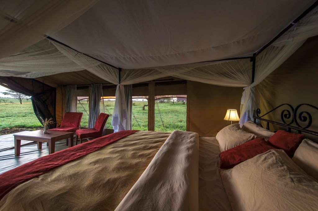 Karibu Camps And Lodges Sametu Camp Serengeti Robanda Δωμάτιο φωτογραφία